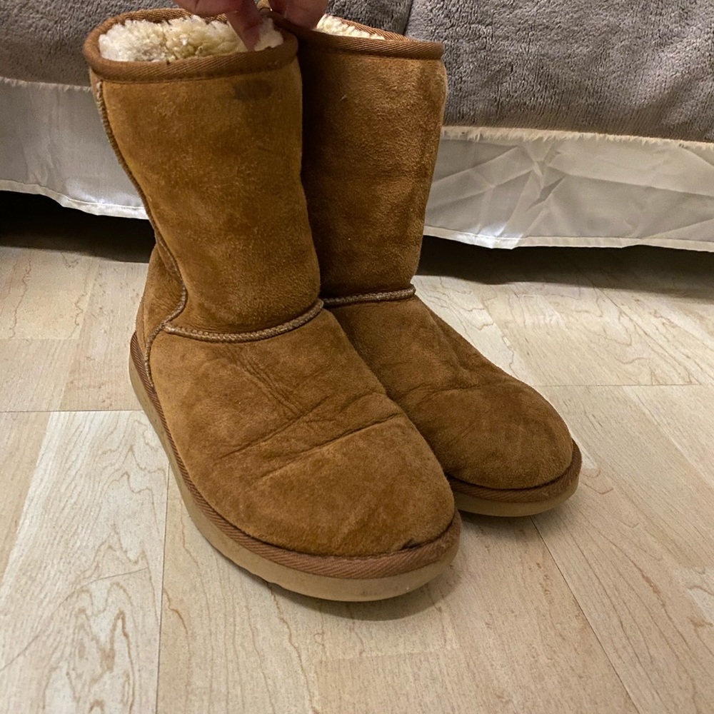 Short Chestnut Uggs